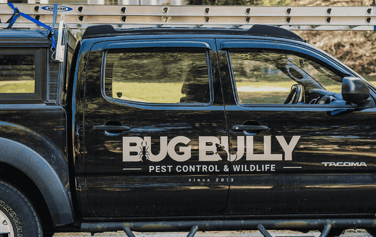 bug bully commercial pest control black truck central massachusetts