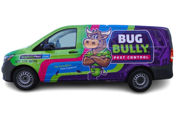 Bug Bull Pest & Rodent Control Van with sweet wrap