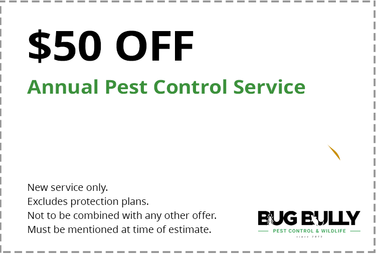 Pest Control Coupon Worcester Central Massachusetts