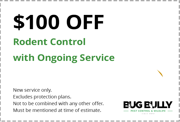 Pest Control Coupon for Rodents Worcester Central Massachusetts