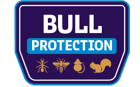 Bull Ongoing Pest Control Protection Plan Shield Icon