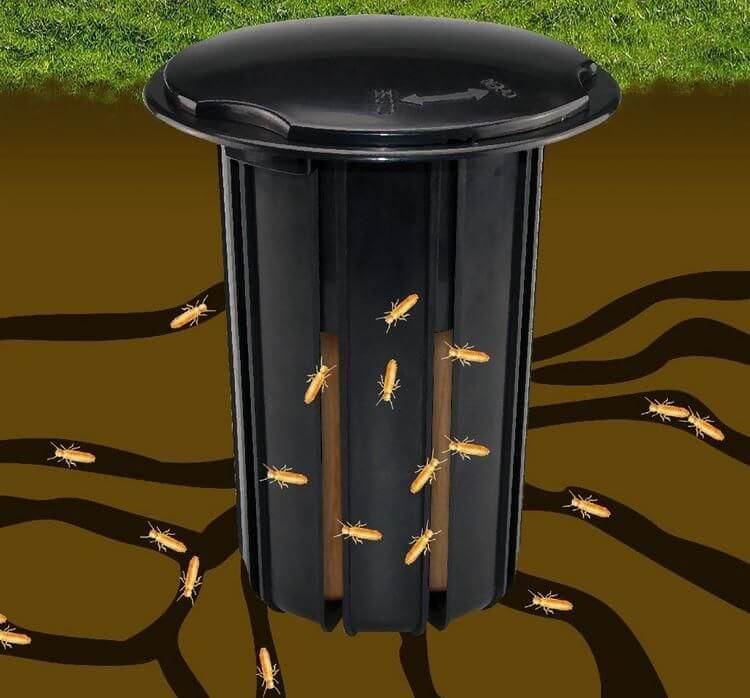 Advance® termite bait stations are proven to