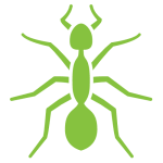 Ant Icon