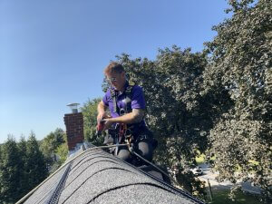 Bat control and removal
