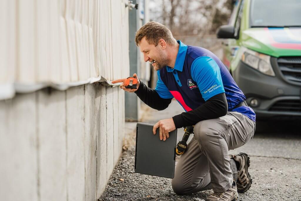 Bug Bully mice inspection