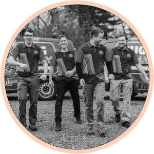 Pest and rodent control team in massachusetts