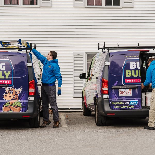 Bug bully pest control vans