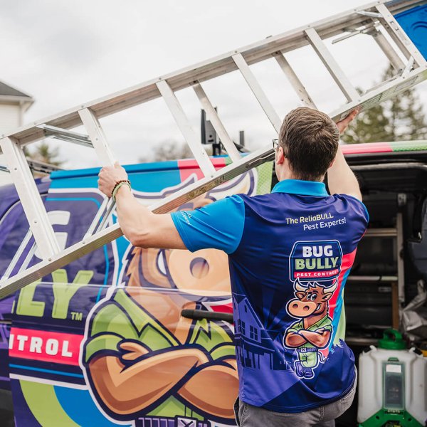 bug bully van and ladder