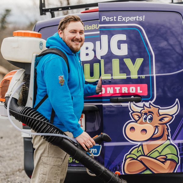 bug bully mosquito control tech massachusetts